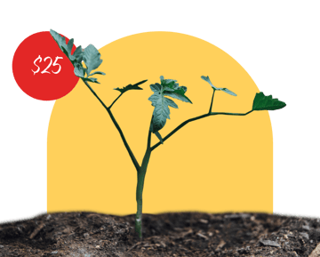 $25-giving levels-tomato seeds
