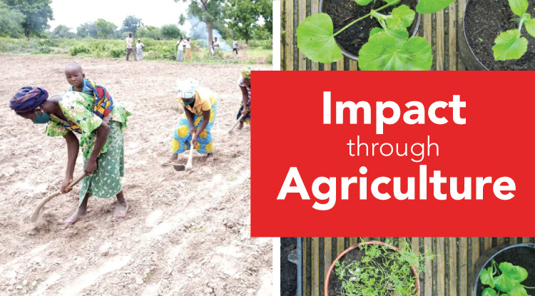 Impact Through Agriculture