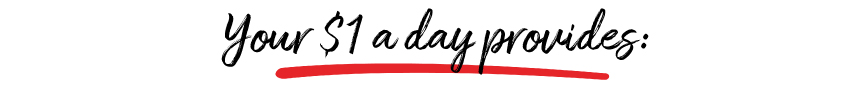One-Dollar-A-Day