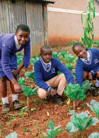 Children harvesting at their school garden.